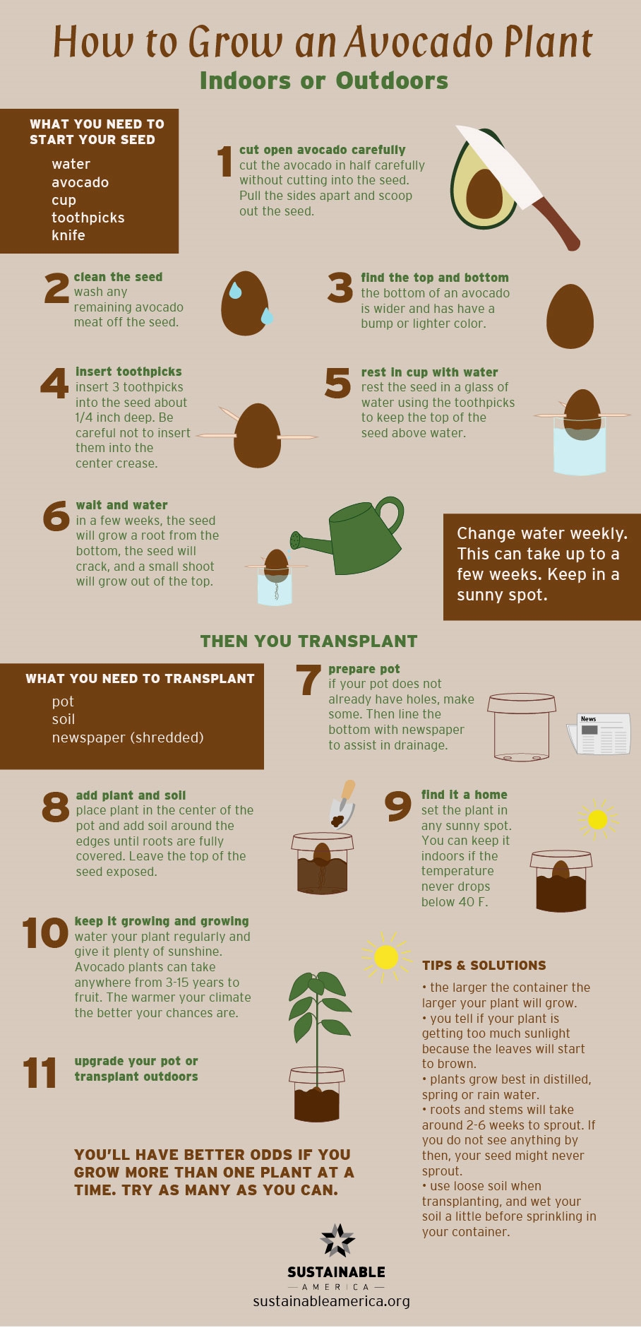 Infographic